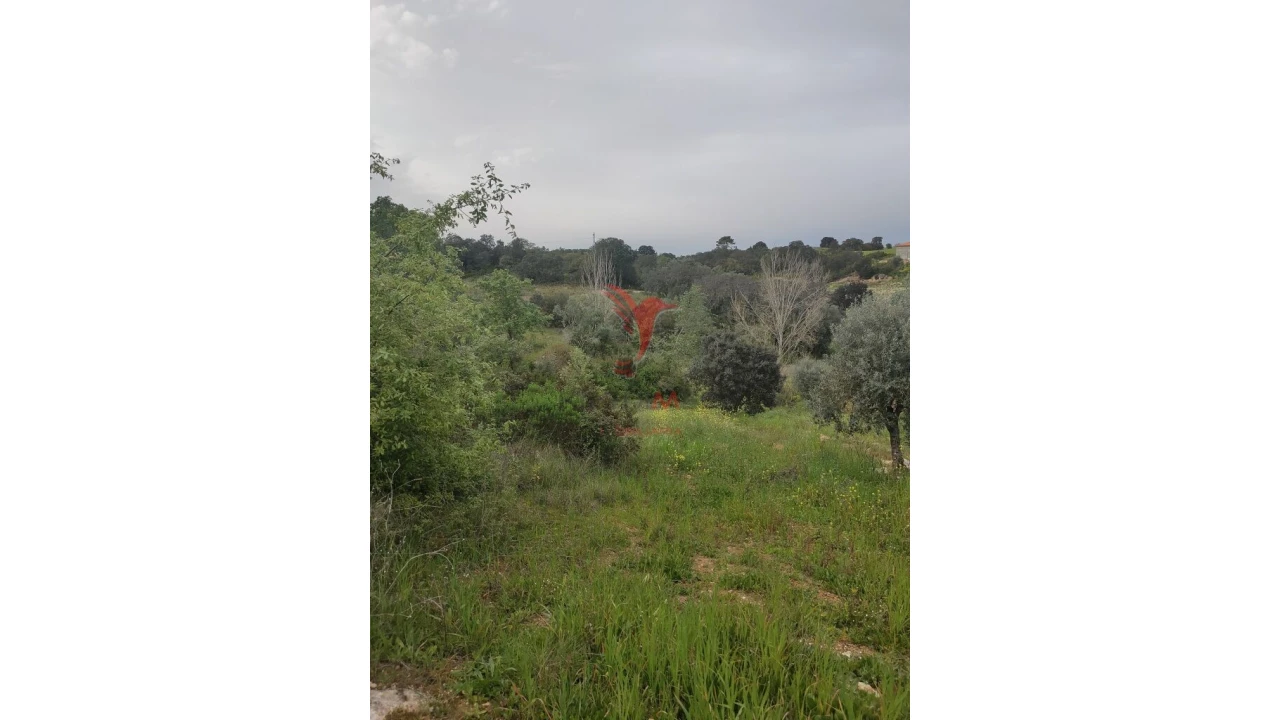 Terreno para Venda em Achete, Azoia de Baixo e Póvoa de Santarém Foto 8