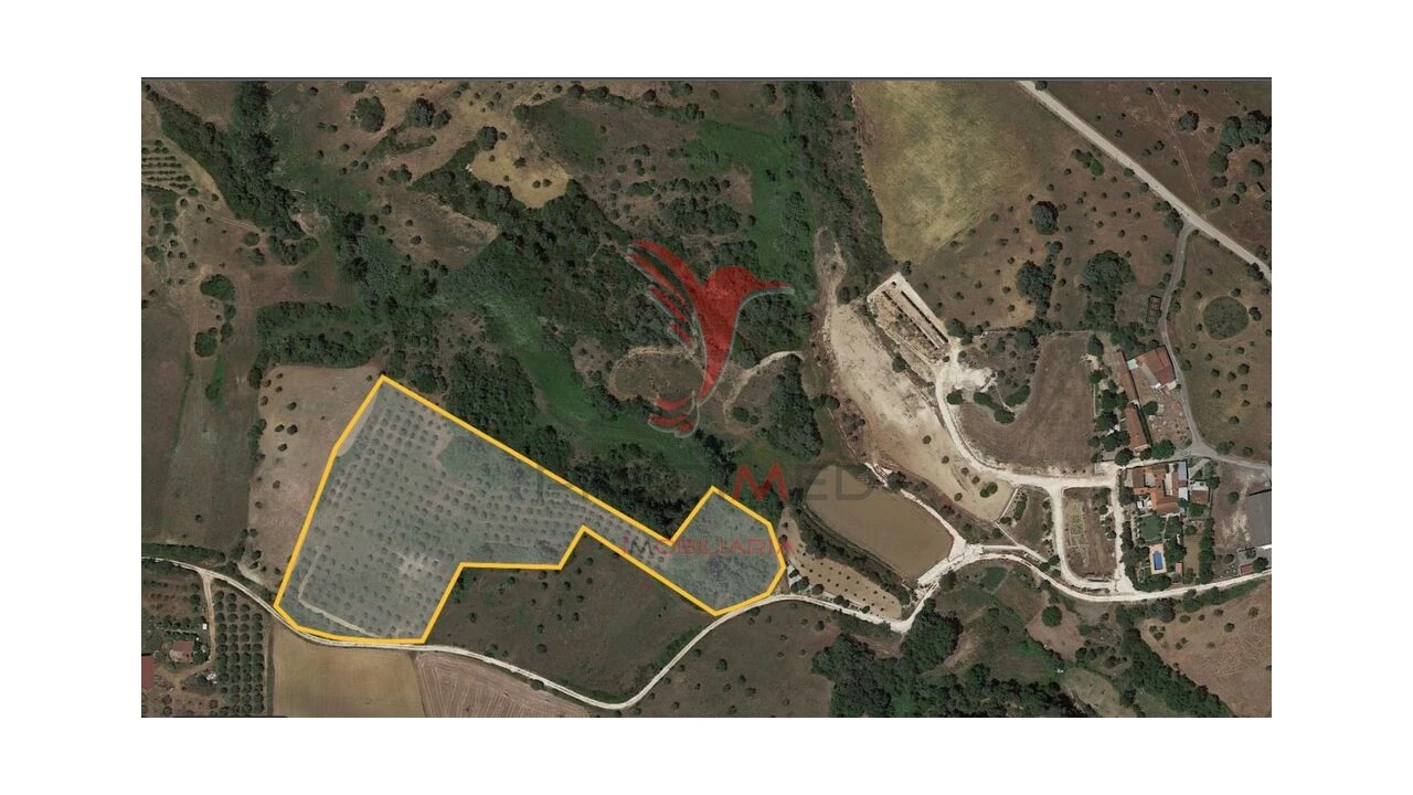 Terreno para Venda em Achete, Azoia de Baixo e Póvoa de Santarém Foto 14