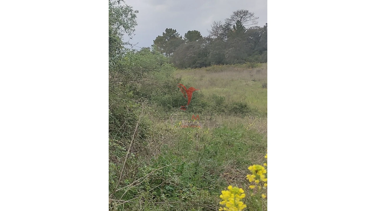 Terreno para Venda em Achete, Azoia de Baixo e Póvoa de Santarém Foto 11