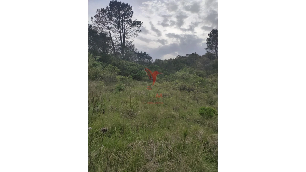 Terreno para Venda em Achete, Azoia de Baixo e Póvoa de Santarém Foto 9