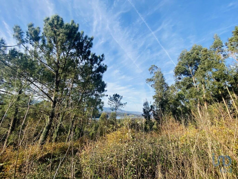 Moradia para Venda em Gondarem Foto 13