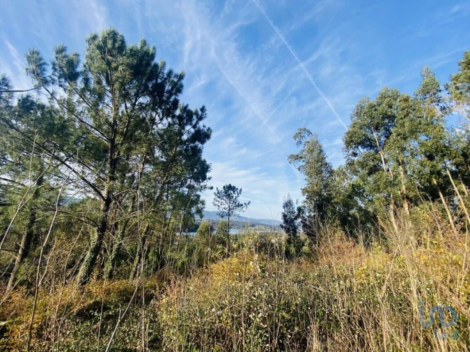 Moradia para Venda em Gondarem Foto 13