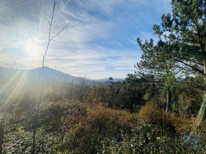 Moradia para Venda em Gondarem Foto 14