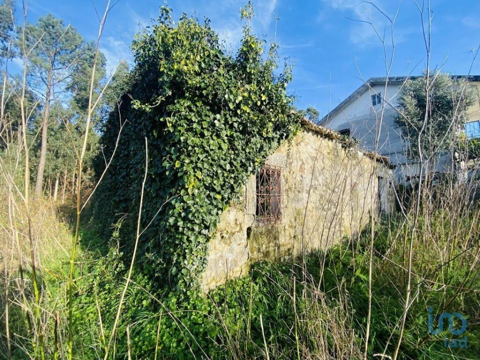 Moradia para Venda em Gondarem Foto 6