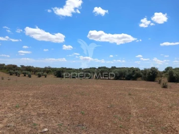 Terreno para Venda em São Miguel de Machede