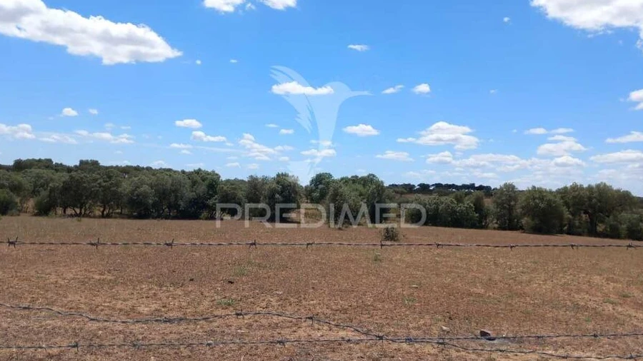 Terreno para Venda em São Miguel de Machede