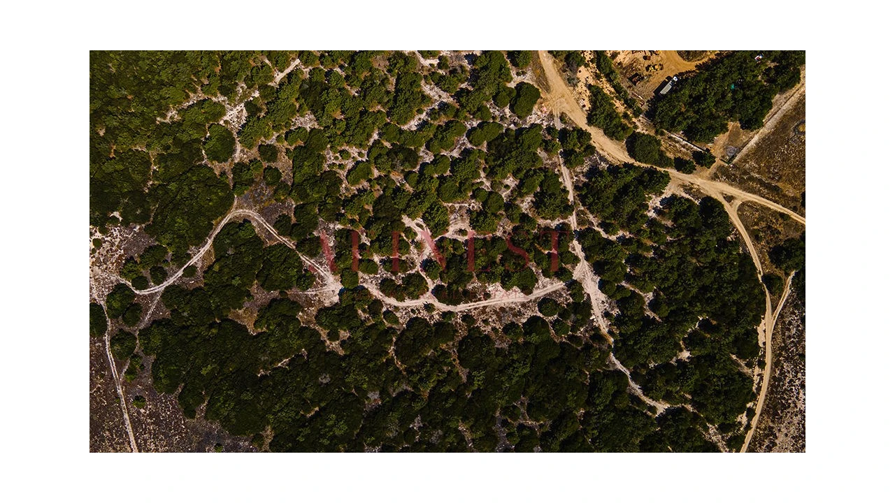 Terreno para Venda em Sines Foto 4