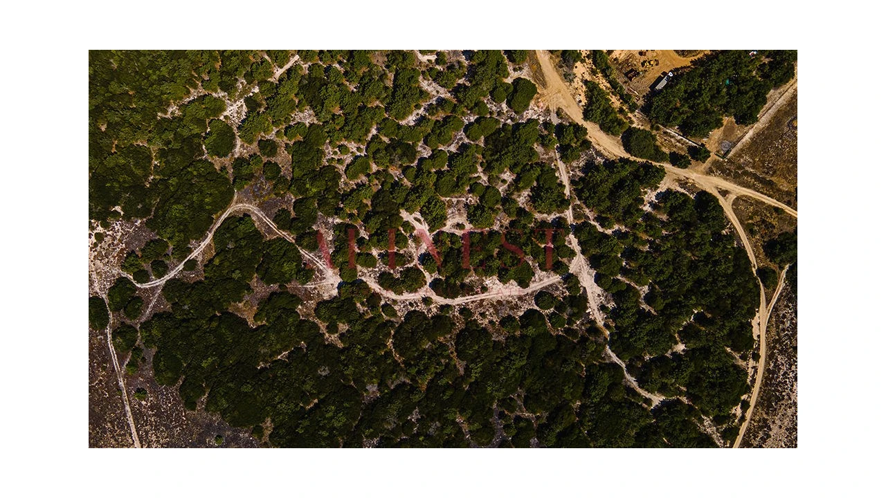 Terreno para Venda em Sines Foto 5