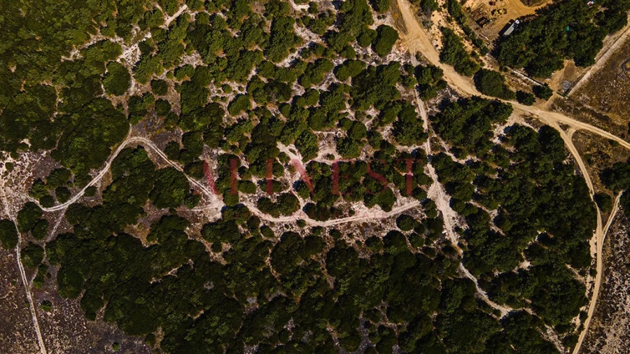 Terreno para Venda em Sines Foto 5