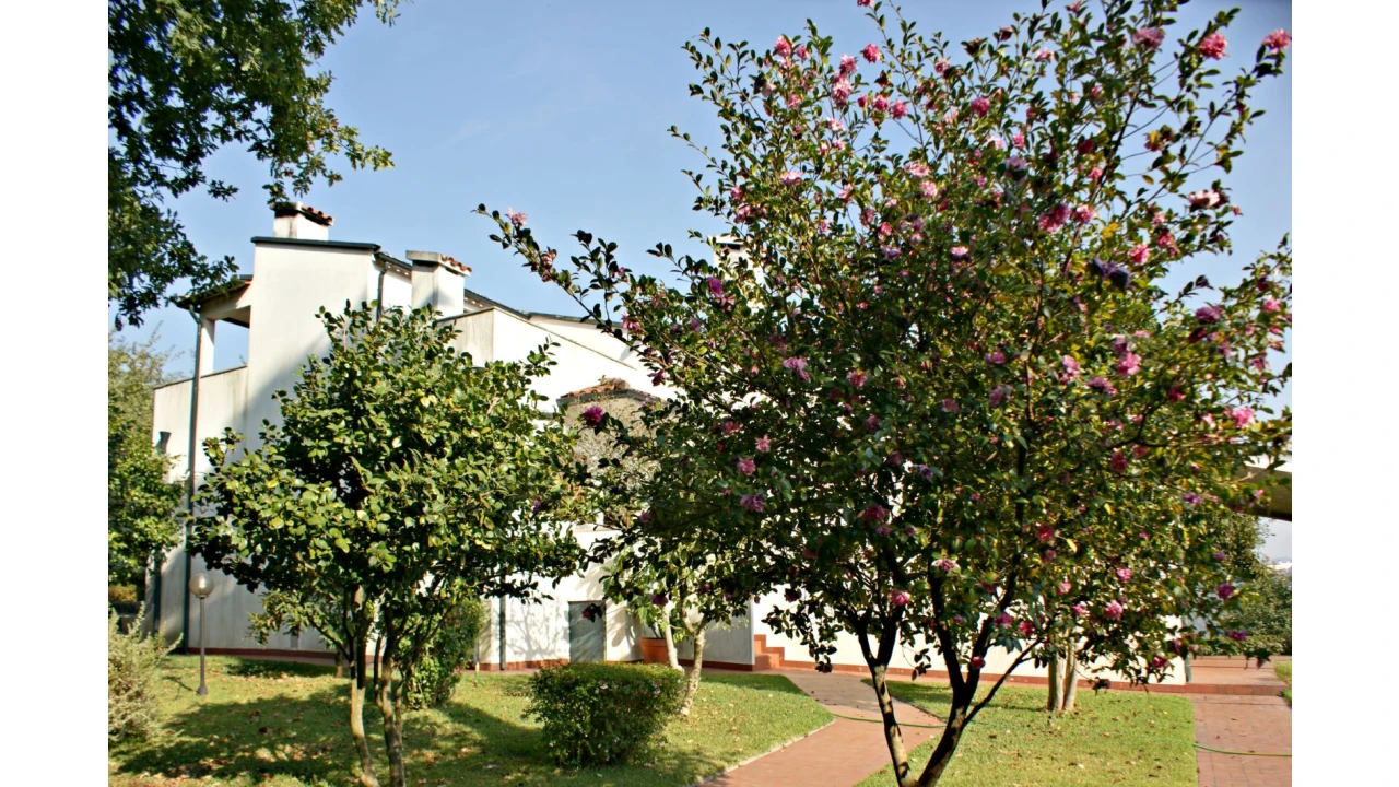 Quinta T4 para Venda em Selho São Lourenço e Gominhães Foto 5