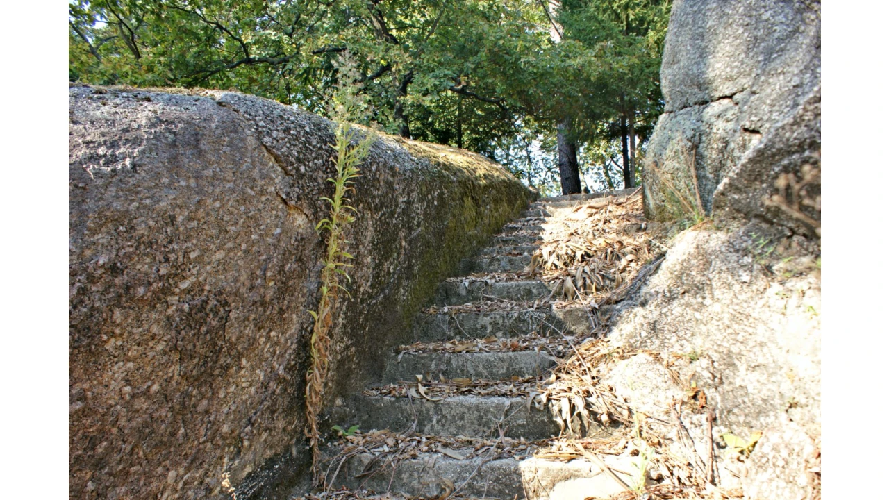 Quinta T4 para Venda em Selho São Lourenço e Gominhães Foto 11