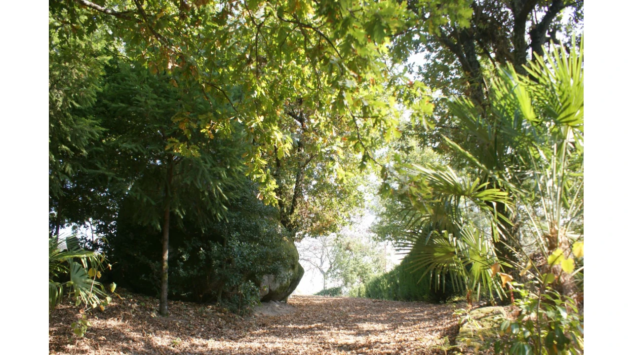 Quinta T4 para Venda em Selho São Lourenço e Gominhães Foto 14