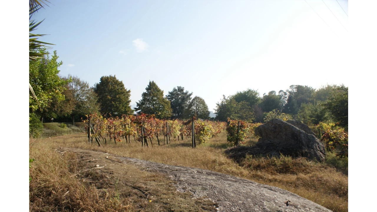Quinta T4 para Venda em Selho São Lourenço e Gominhães Foto 16
