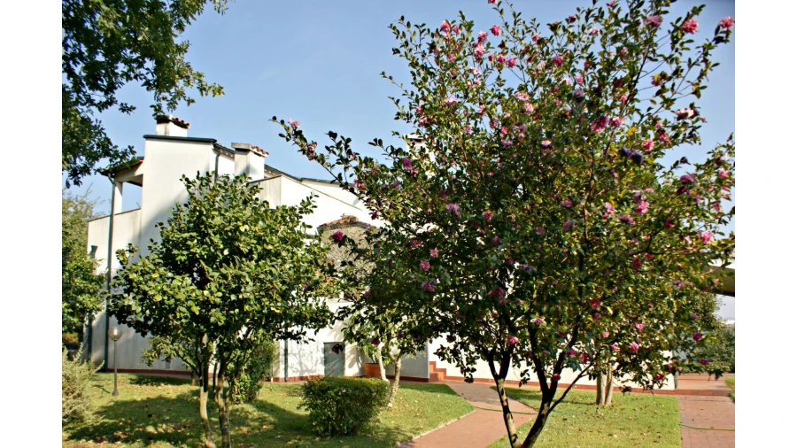 Quinta T4 para Venda em Selho São Lourenço e Gominhães Foto 5