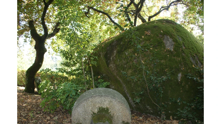 Quinta T4 para Venda em Selho São Lourenço e Gominhães Foto 12
