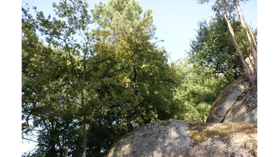 Quinta T4 para Venda em Selho São Lourenço e Gominhães Foto 13