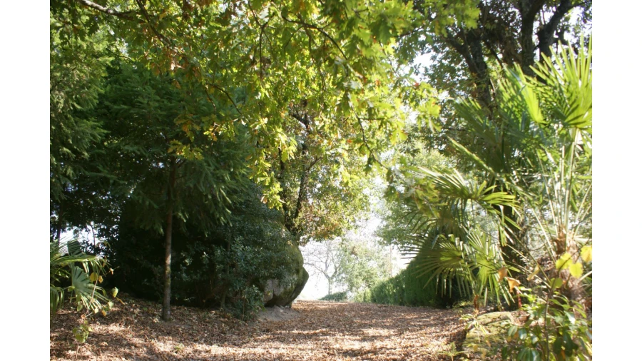 Quinta T4 para Venda em Selho São Lourenço e Gominhães Foto 14