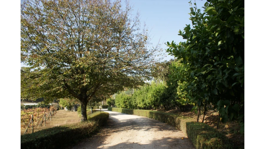 Quinta T4 para Venda em Selho São Lourenço e Gominhães Foto 18