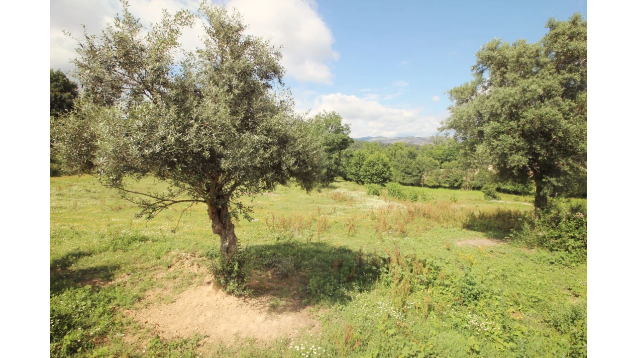 Quinta T0 para Venda em Cabeceiras de Basto Foto 5