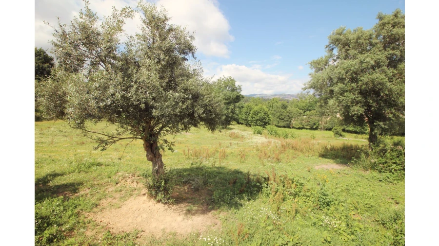 Quinta T0 para Venda em Cabeceiras de Basto Foto 5