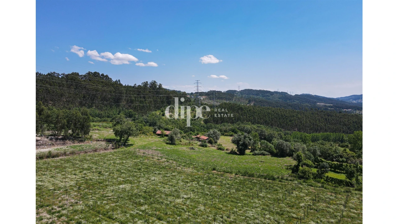 Quinta T0 para Venda em São Torcato Foto 8