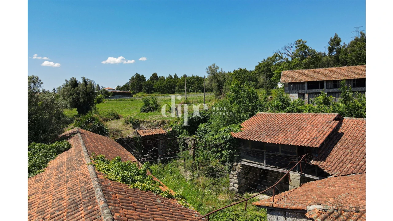 Quinta T0 para Venda em São Torcato Foto 4