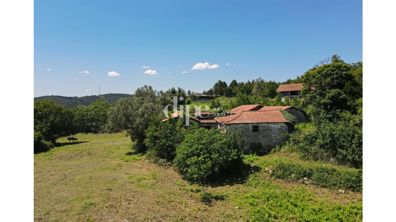 Quinta T0 para Venda em São Torcato Foto 10