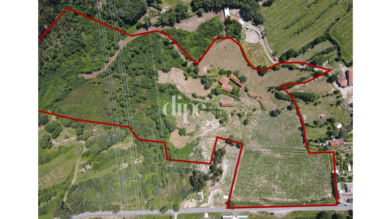 Quinta T0 para Venda em São Torcato Foto 12