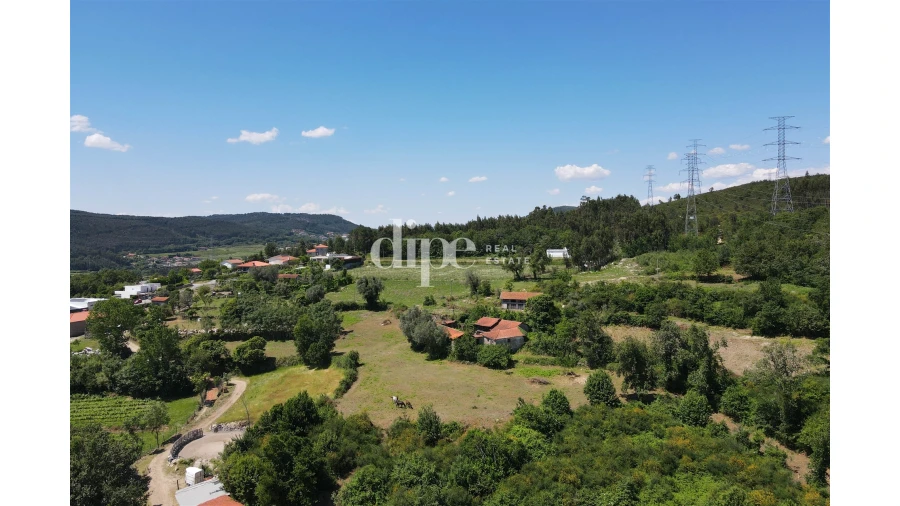 Quinta T0 para Venda em São Torcato Foto 5