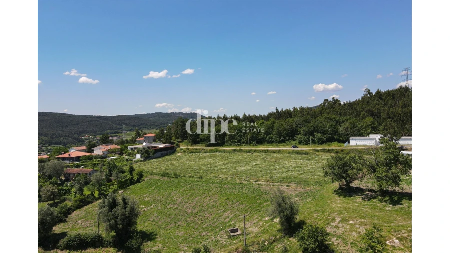 Quinta T0 para Venda em São Torcato Foto 2