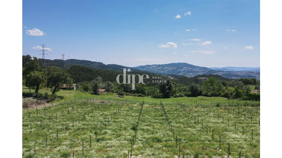 Quinta T0 para Venda em São Torcato Foto 7