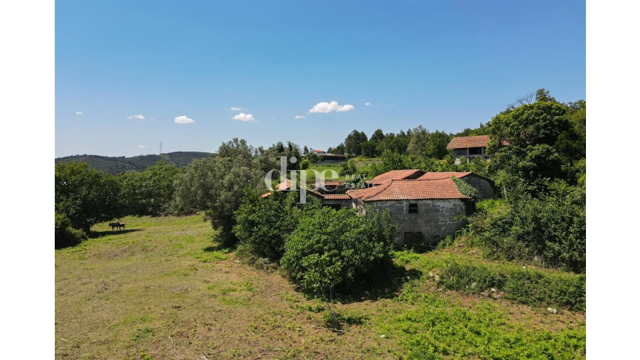 Quinta T0 para Venda em São Torcato Foto 10