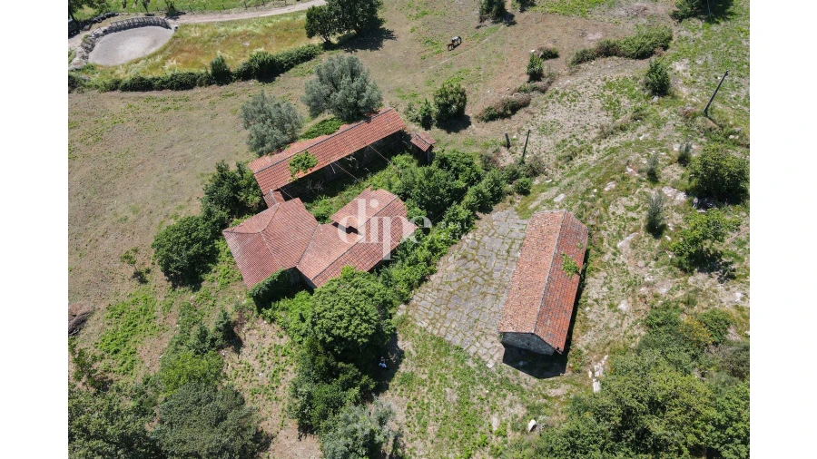 Quinta T0 para Venda em São Torcato Foto 3