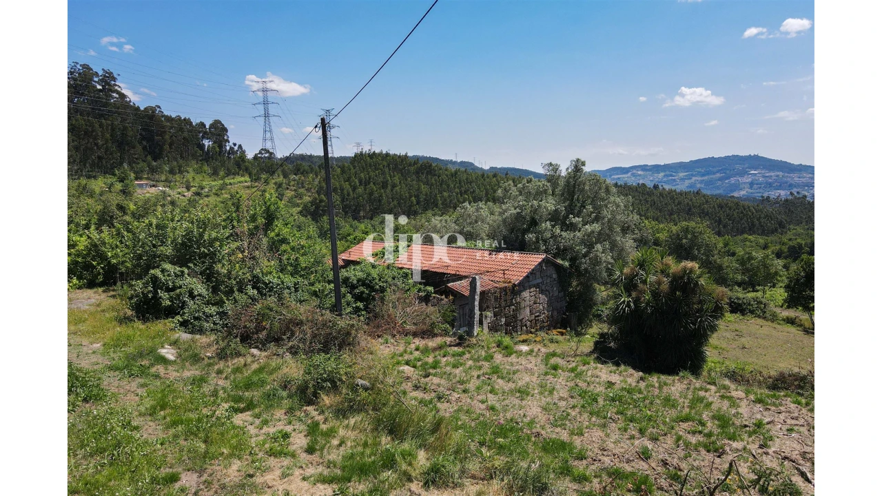 Quinta T0 para Venda em São Torcato Foto 11