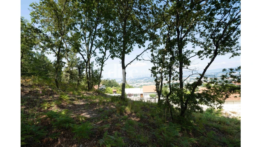 Terreno para Venda em Mesão Frio Foto 9