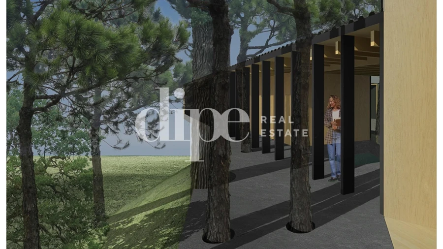 Terreno para Venda em Mesão Frio Foto 13