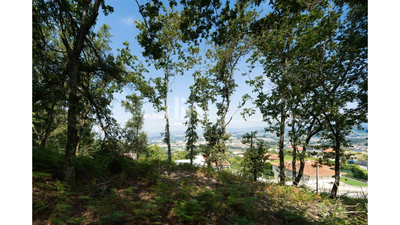 Terreno para Venda em Mesão Frio Foto 8