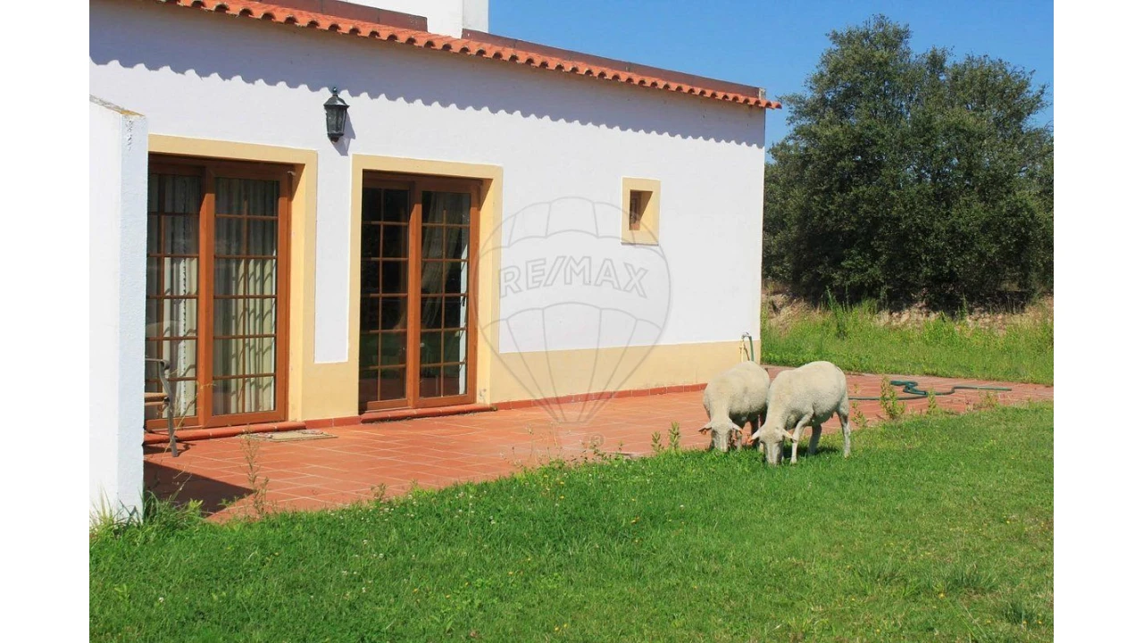 Negócio para Venda em Cunheira Foto 7