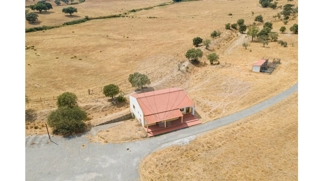 Negócio para Venda em Cunheira Foto 17