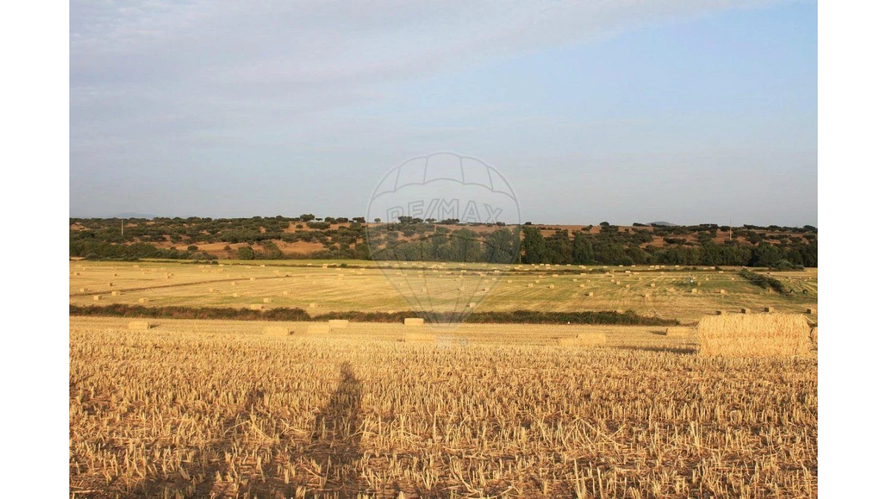 Negócio para Venda em Cunheira Foto 22