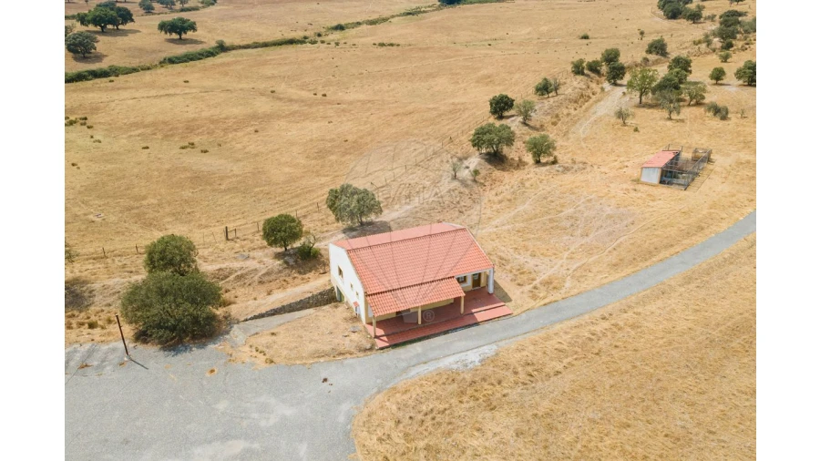 Negócio para Venda em Cunheira Foto 17