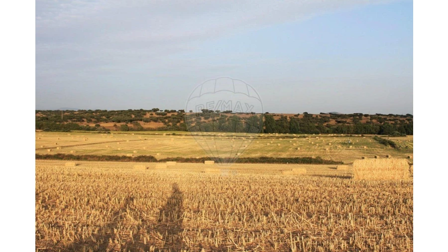 Negócio para Venda em Cunheira Foto 22