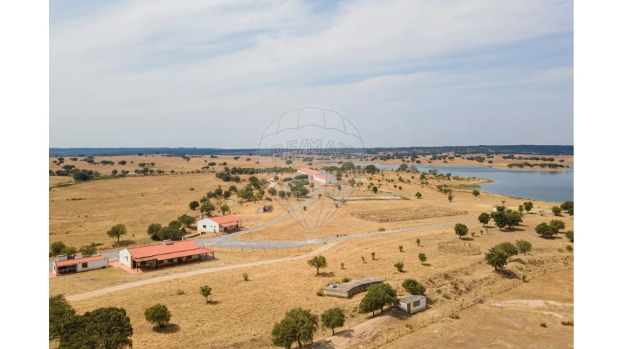 Negócio para Venda em Cunheira Foto 14