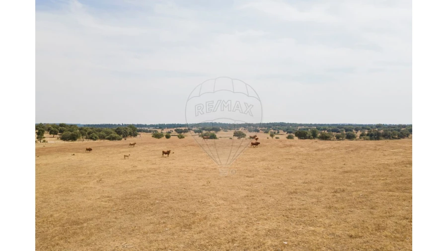 Negócio para Venda em Cunheira Foto 31