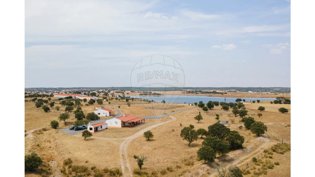Negócio para Venda em Cunheira Foto 19