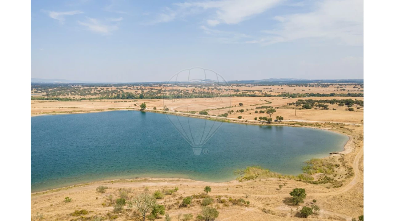 Negócio para Venda em Cunheira Foto 32