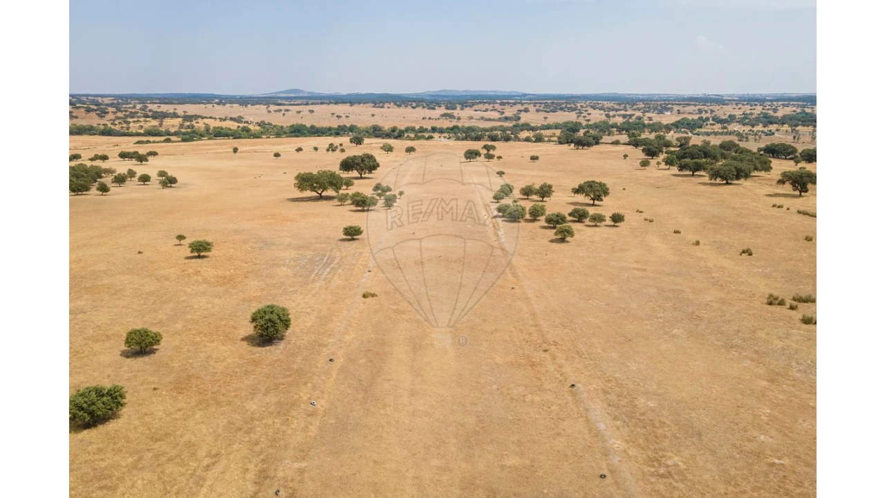 Negócio para Venda em Cunheira Foto 26
