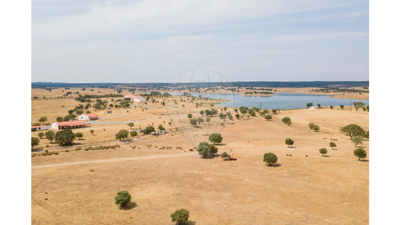 Negócio para Venda em Cunheira Foto 16