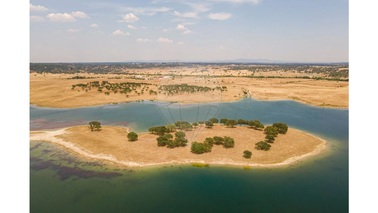 Negócio para Venda em Cunheira Foto 23
