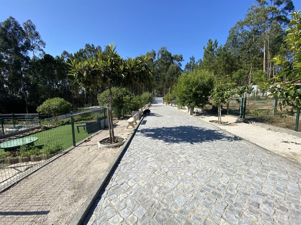 Quinta T3 para Venda em Guia, Ilha e Mata Mourisca Foto 26